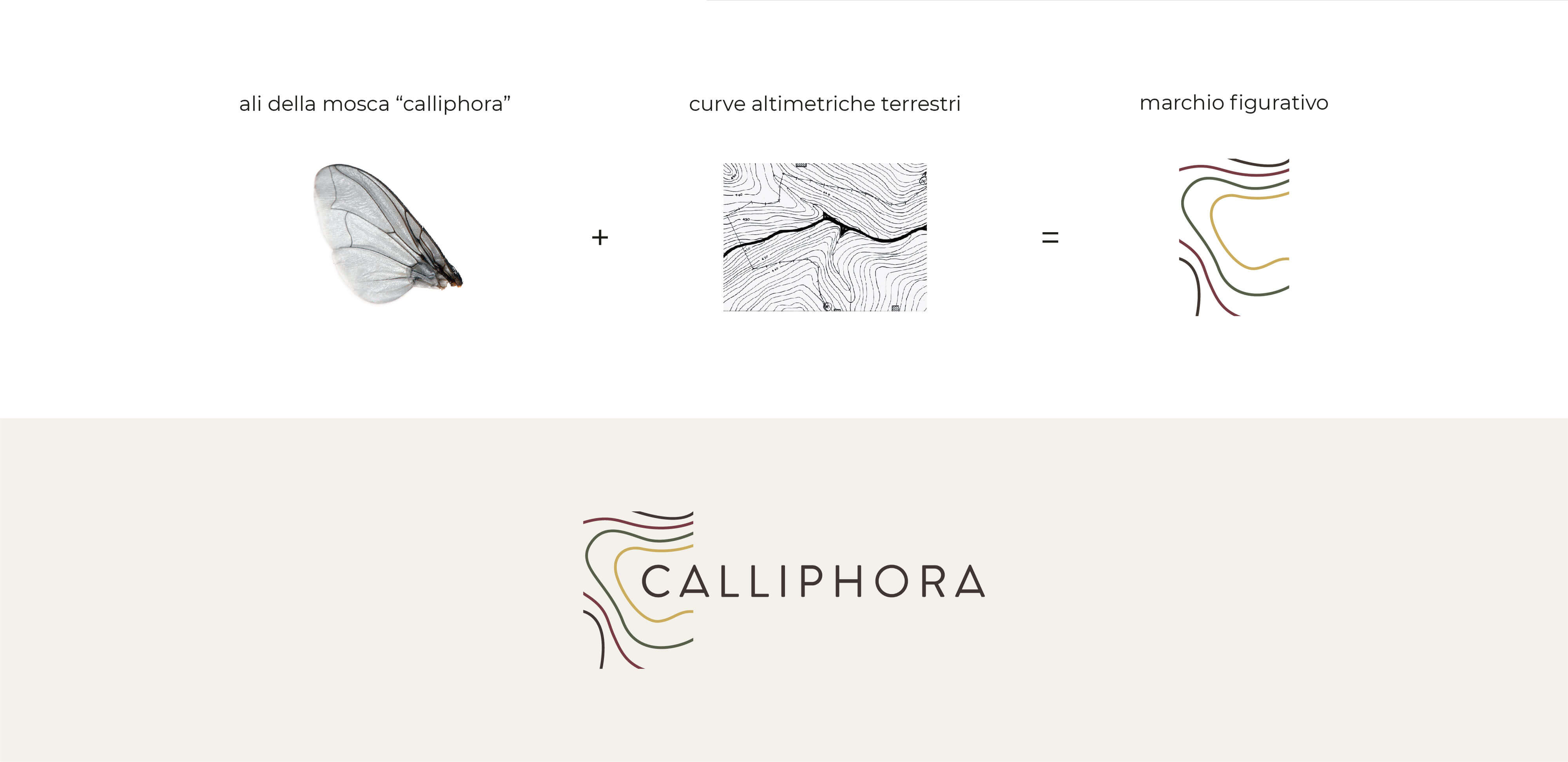 brand calliphora immagine coordinata